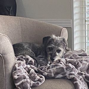 Meet your Posher, Kathryn